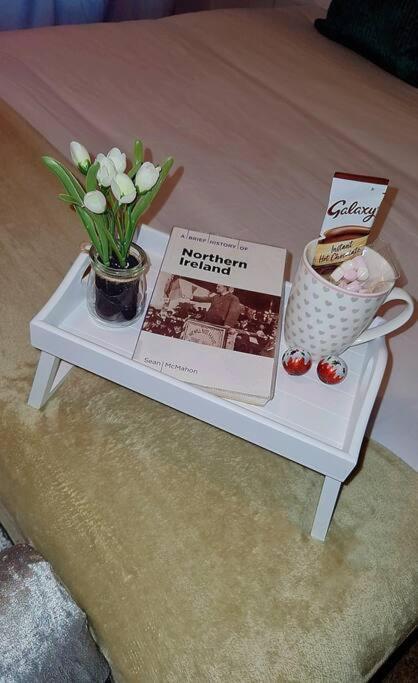16 Stewart'S Terrace Derry City Bt48 7Lj Villa Екстериор снимка
